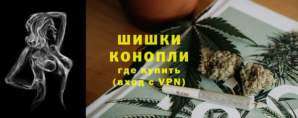 прущие грибы Богородск
