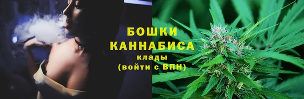 прущие грибы Богородск