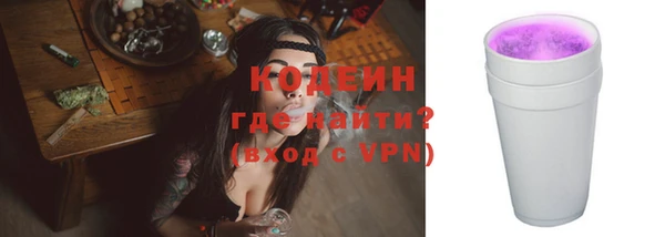 бошки Бородино