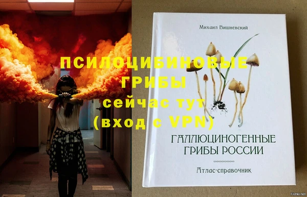 прущие грибы Богородск