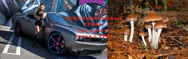 2c-b Богородицк
