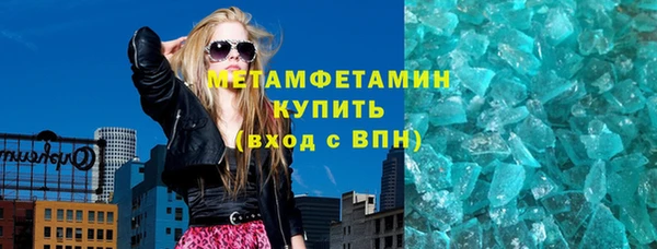 прущие грибы Богородск