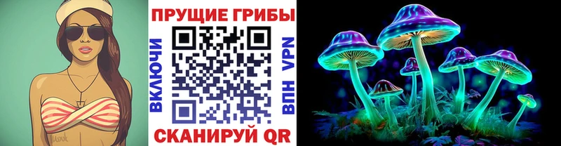 Галлюциногенные грибы Psilocybe  Купить  Болохово 